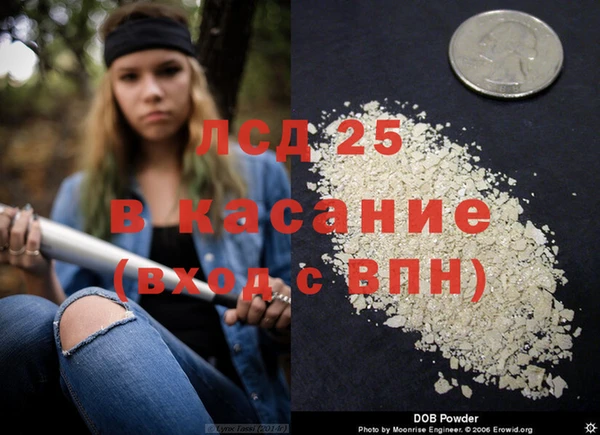 твердый Заводоуковск