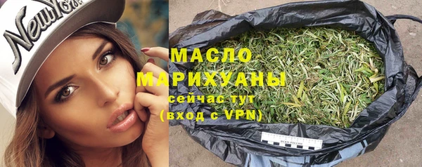 твердый Заводоуковск