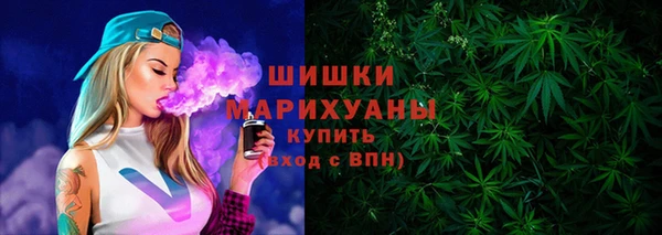 твердый Заводоуковск